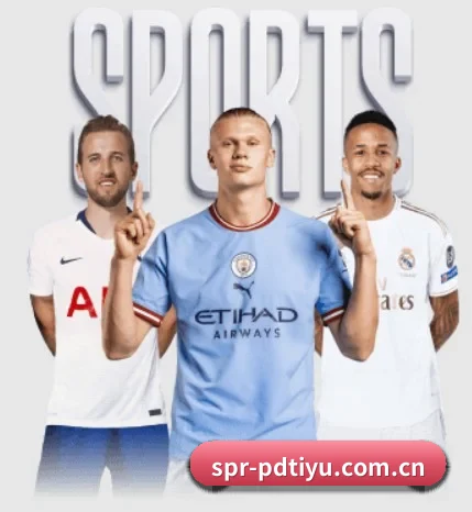 spr-pdtiyu.com.cn的故事